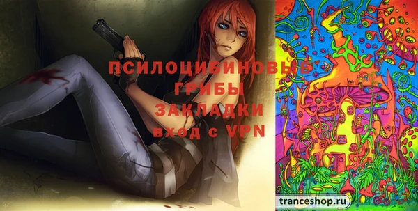 apvp Пересвет