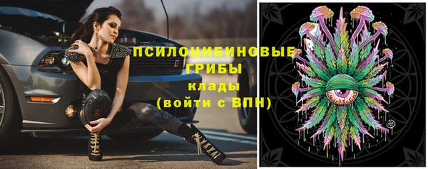 apvp Пересвет