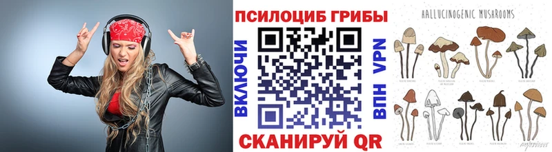 гидра зеркало  Агидель  Галлюциногенные грибы прущие грибы 